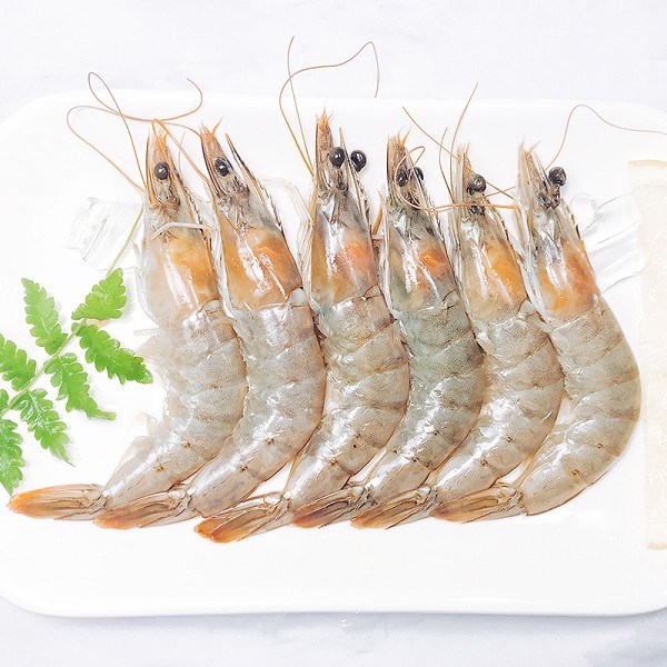 东港日照东方对虾-特产网